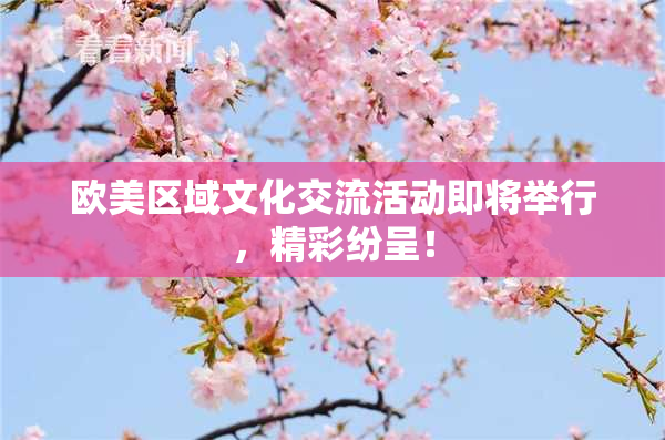 欧美区域文化交流活动即将举行，精彩纷呈！