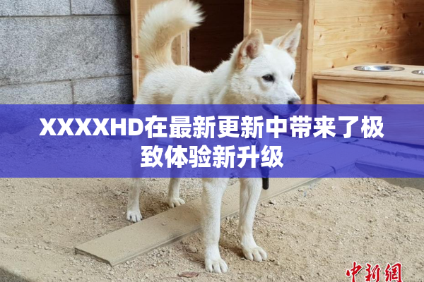 XXXXHD在最新更新中带来了极致体验新升级