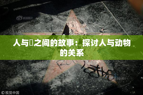 人与嘼之间的故事：探讨人与动物的关系