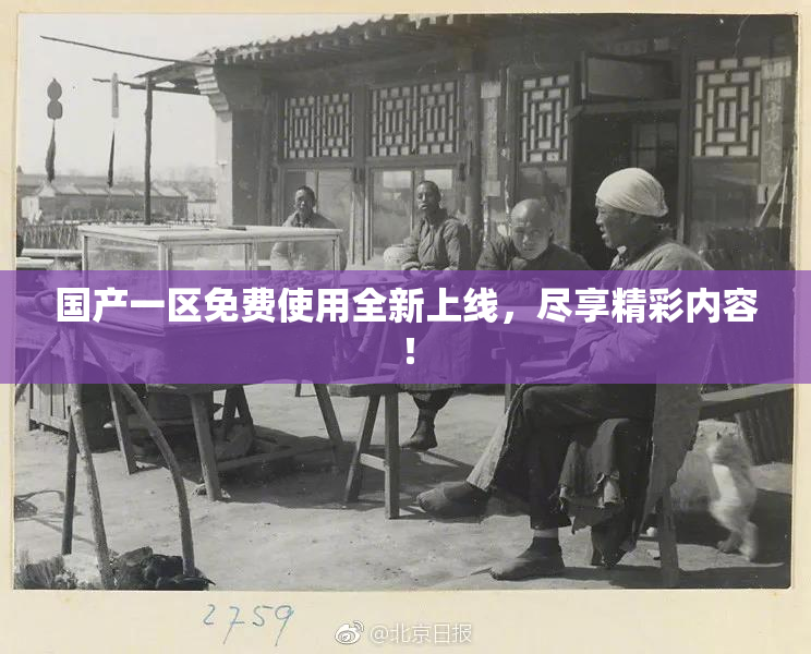 国产一区免费使用全新上线，尽享精彩内容！