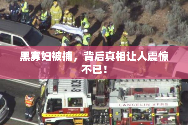 黑寡妇被捕，背后真相让人震惊不已！