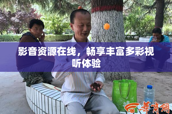 影音资源在线，畅享丰富多彩视听体验