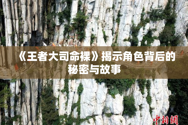 《王者大司命裸》揭示角色背后的秘密与故事