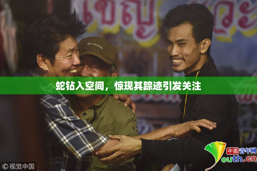 蛇钻入空间，惊现其踪迹引发关注