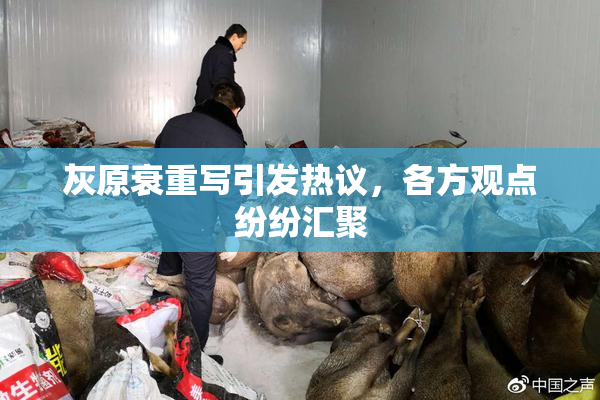 灰原衰重写引发热议，各方观点纷纷汇聚