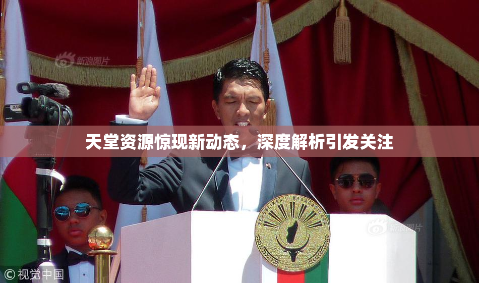 天堂资源惊现新动态，深度解析引发关注