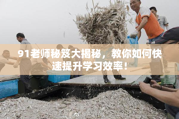 91老师秘笈大揭秘，教你如何快速提升学习效率！