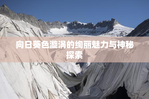 向日葵色漩涡的绚丽魅力与神秘探索