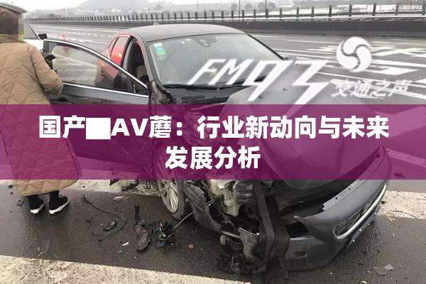 国产▇AV蘑：行业新动向与未来发展分析
