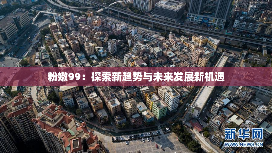 粉嫩99：探索新趋势与未来发展新机遇