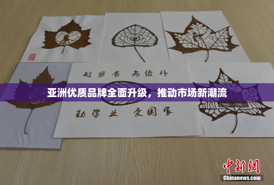 亚洲优质品牌全面升级，推动市场新潮流