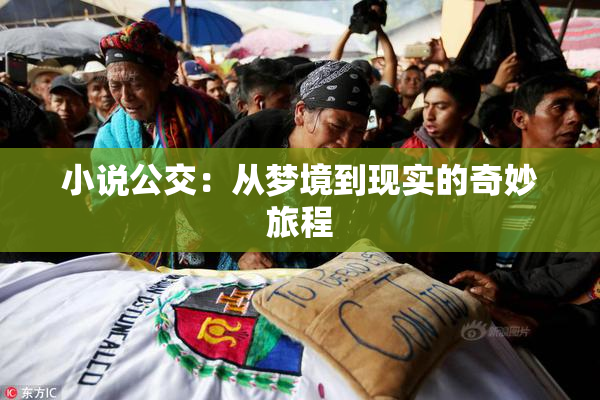 小说公交：从梦境到现实的奇妙旅程