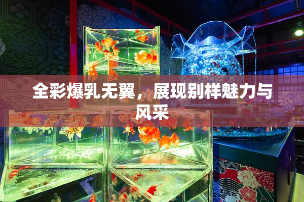 全彩爆乳无翼，展现别样魅力与风采