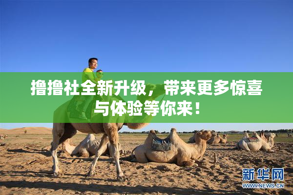 撸撸社全新升级，带来更多惊喜与体验等你来！