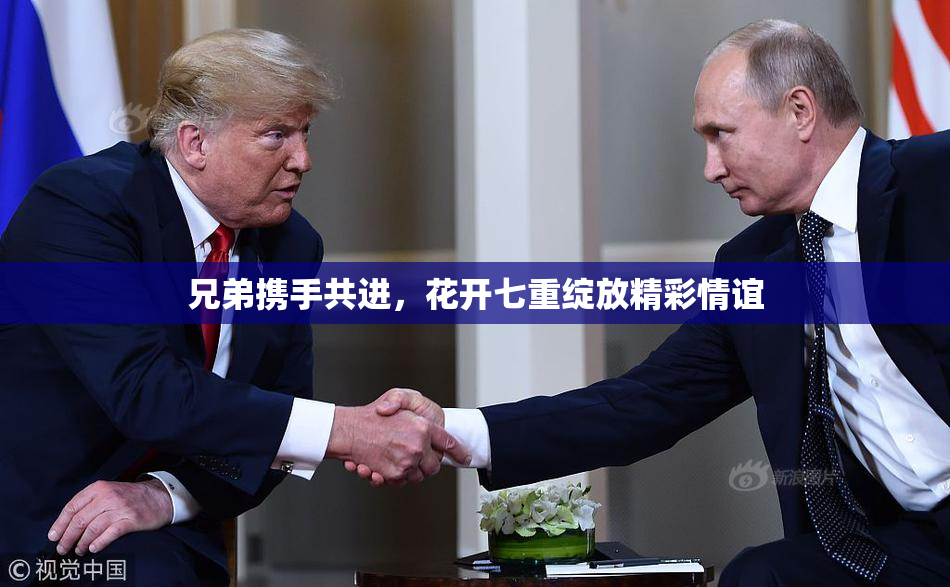 兄弟携手共进，花开七重绽放精彩情谊