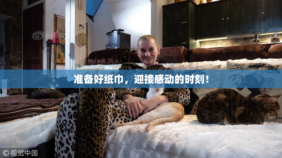 准备好纸巾，迎接感动的时刻！