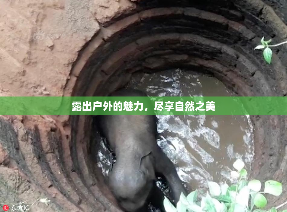 露出户外的魅力，尽享自然之美