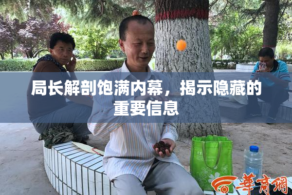 局长解剖饱满内幕，揭示隐藏的重要信息
