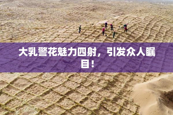 大乳警花魅力四射，引发众人瞩目！