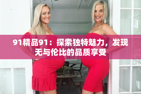91精品91：探索独特魅力，发现无与伦比的品质享受