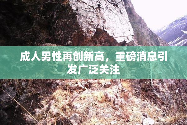 成人男性再创新高，重磅消息引发广泛关注