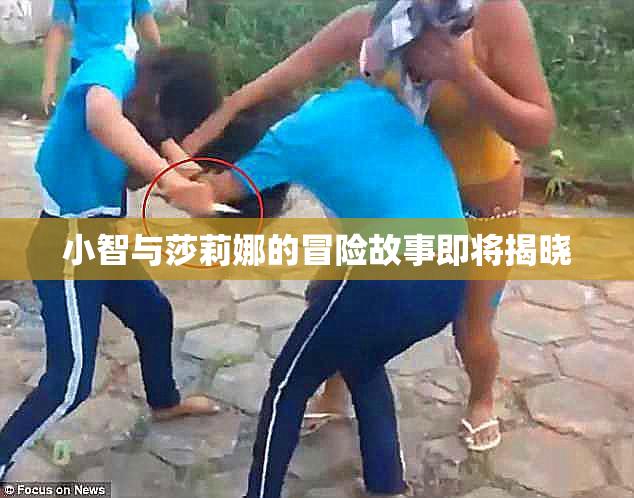 小智与莎莉娜的冒险故事即将揭晓