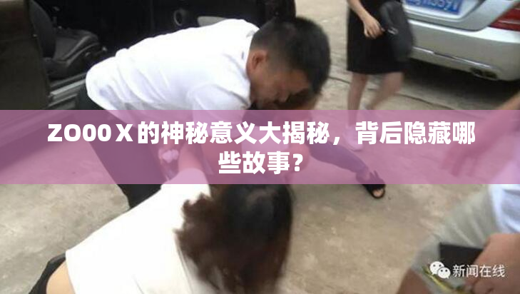 ZO00Ⅹ的神秘意义大揭秘，背后隐藏哪些故事？