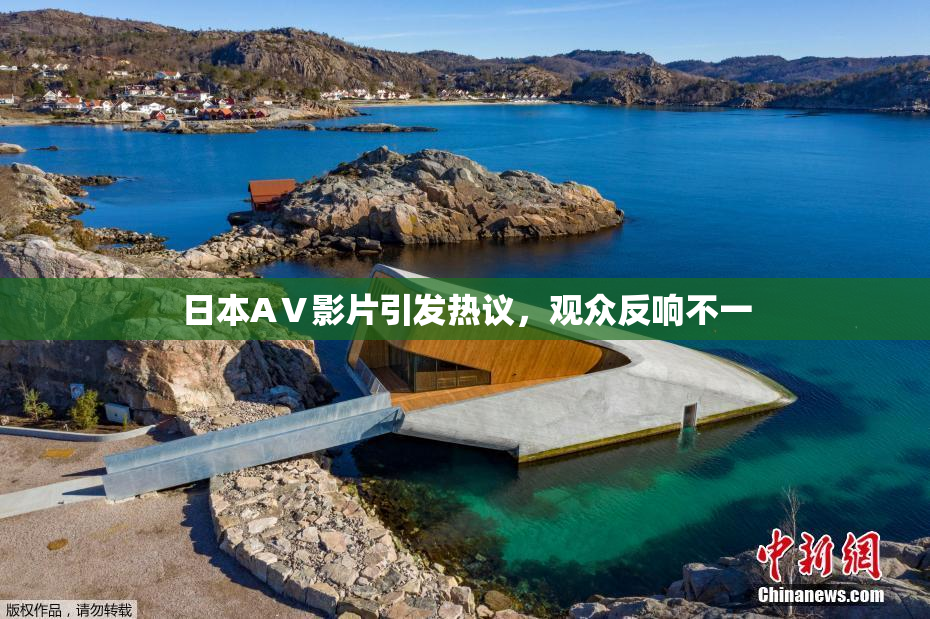 日本AⅤ影片引发热议，观众反响不一