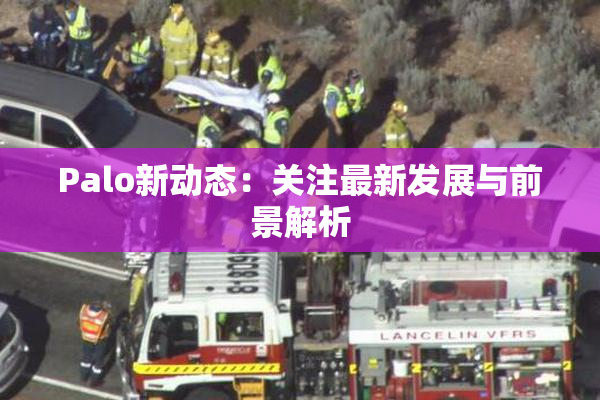 Palo新动态：关注最新发展与前景解析