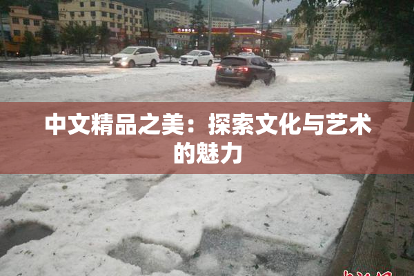 中文精品之美：探索文化与艺术的魅力