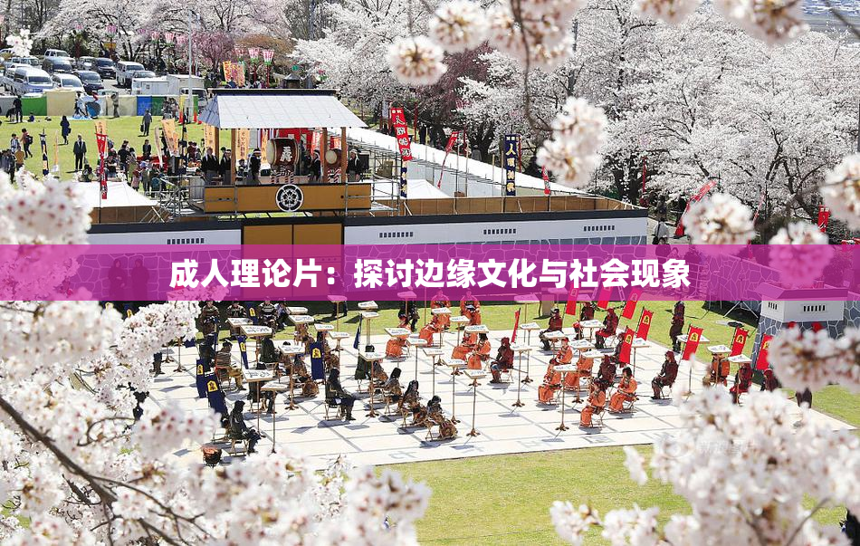 成人理论片：探讨边缘文化与社会现象