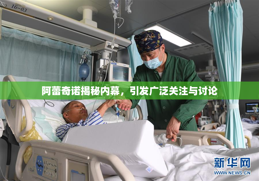 阿蕾奇诺揭秘内幕，引发广泛关注与讨论