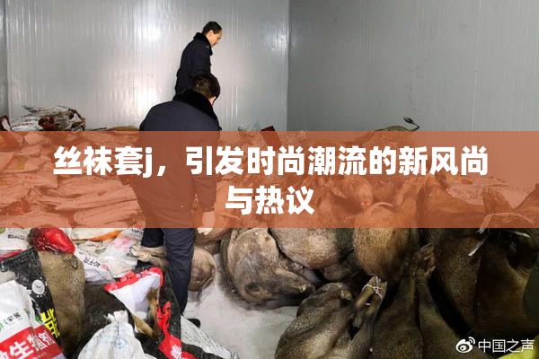 丝袜套j，引发时尚潮流的新风尚与热议