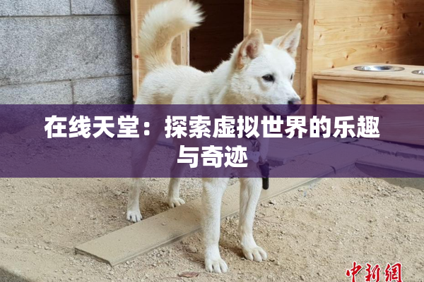 在线天堂：探索虚拟世界的乐趣与奇迹