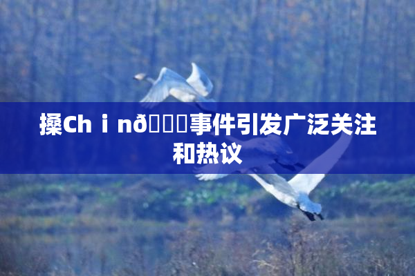 搡Chⅰn🈚事件引发广泛关注和热议