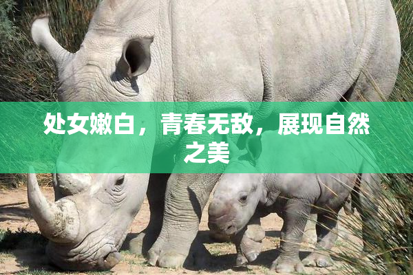 处女嫩白，青春无敌，展现自然之美