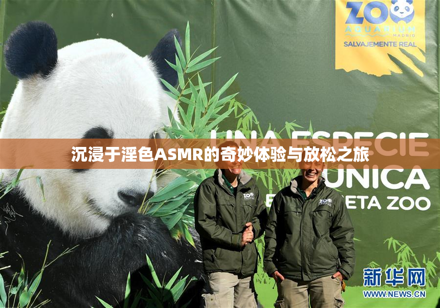 沉浸于淫色ASMR的奇妙体验与放松之旅