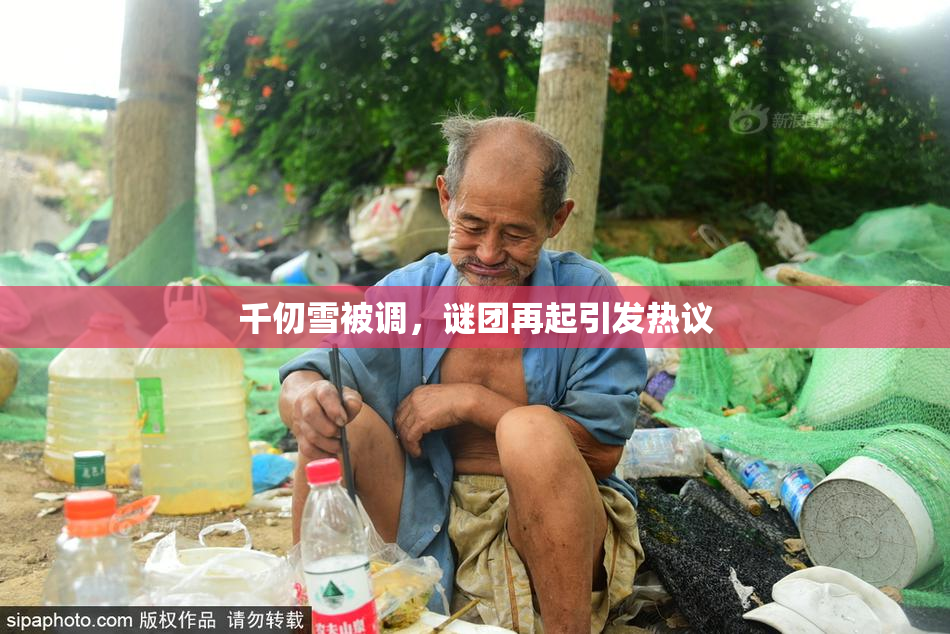 千仞雪被调，谜团再起引发热议