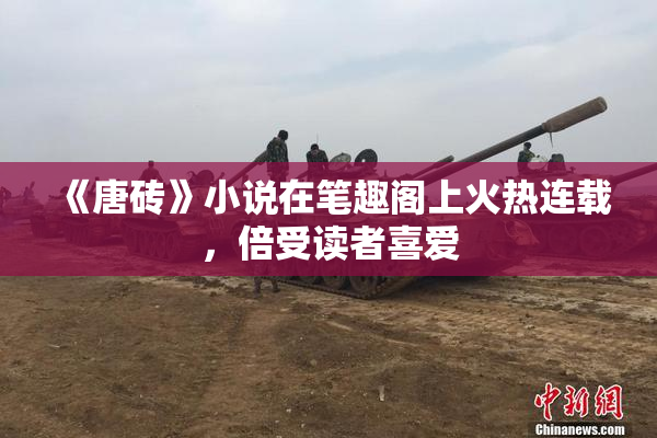 《唐砖》小说在笔趣阁上火热连载，倍受读者喜爱