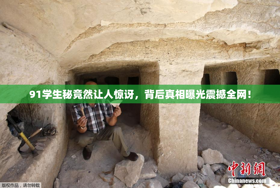 91学生秘竟然让人惊讶，背后真相曝光震撼全网！