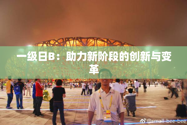 一级日B：助力新阶段的创新与变革