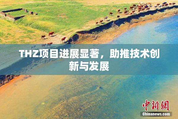 THZ项目进展显著，助推技术创新与发展