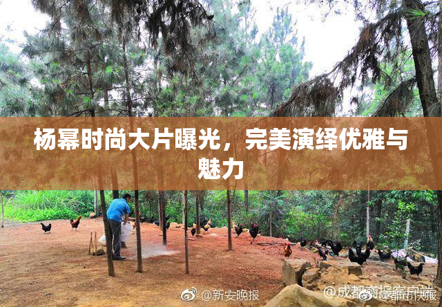 杨幂时尚大片曝光，完美演绎优雅与魅力