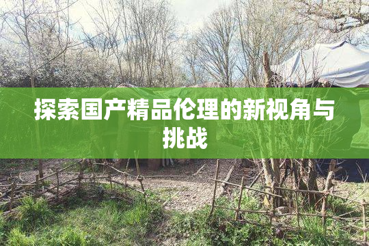 探索国产精品伦理的新视角与挑战