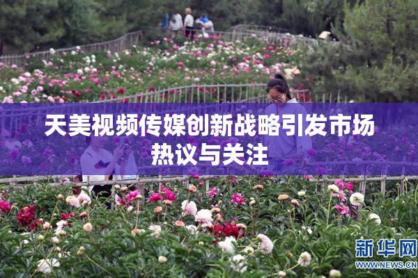 天美视频传媒创新战略引发市场热议与关注