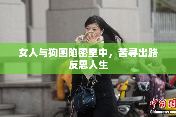 女人与狗困陷密室中，苦寻出路反思人生