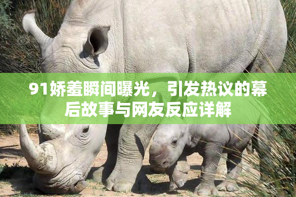 91娇羞瞬间曝光，引发热议的幕后故事与网友反应详解