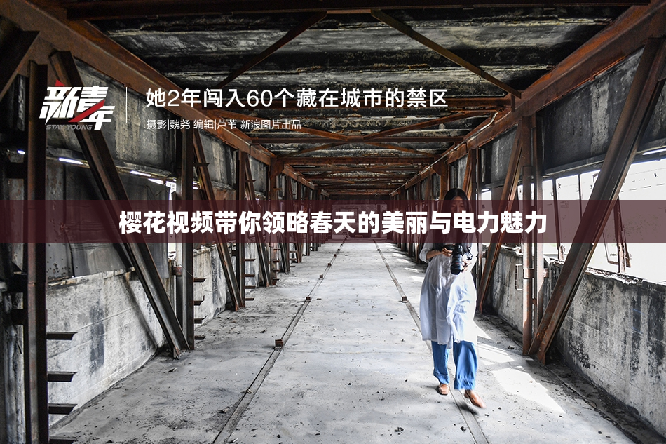 樱花视频带你领略春天的美丽与电力魅力
