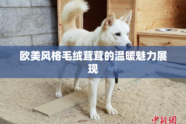 欧美风格毛绒茸茸的温暖魅力展现