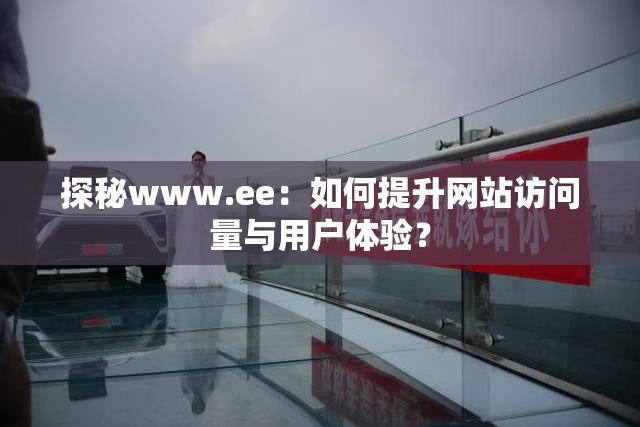 探秘www.ee：如何提升网站访问量与用户体验？